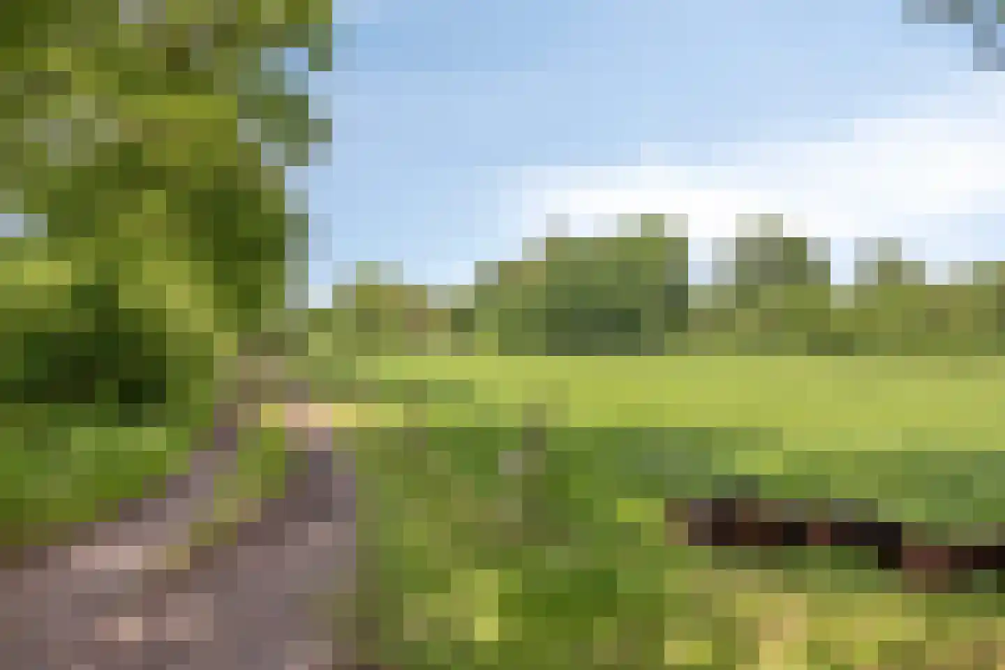 Binnenweg 9 Nijeholtpade thumbnail 44
