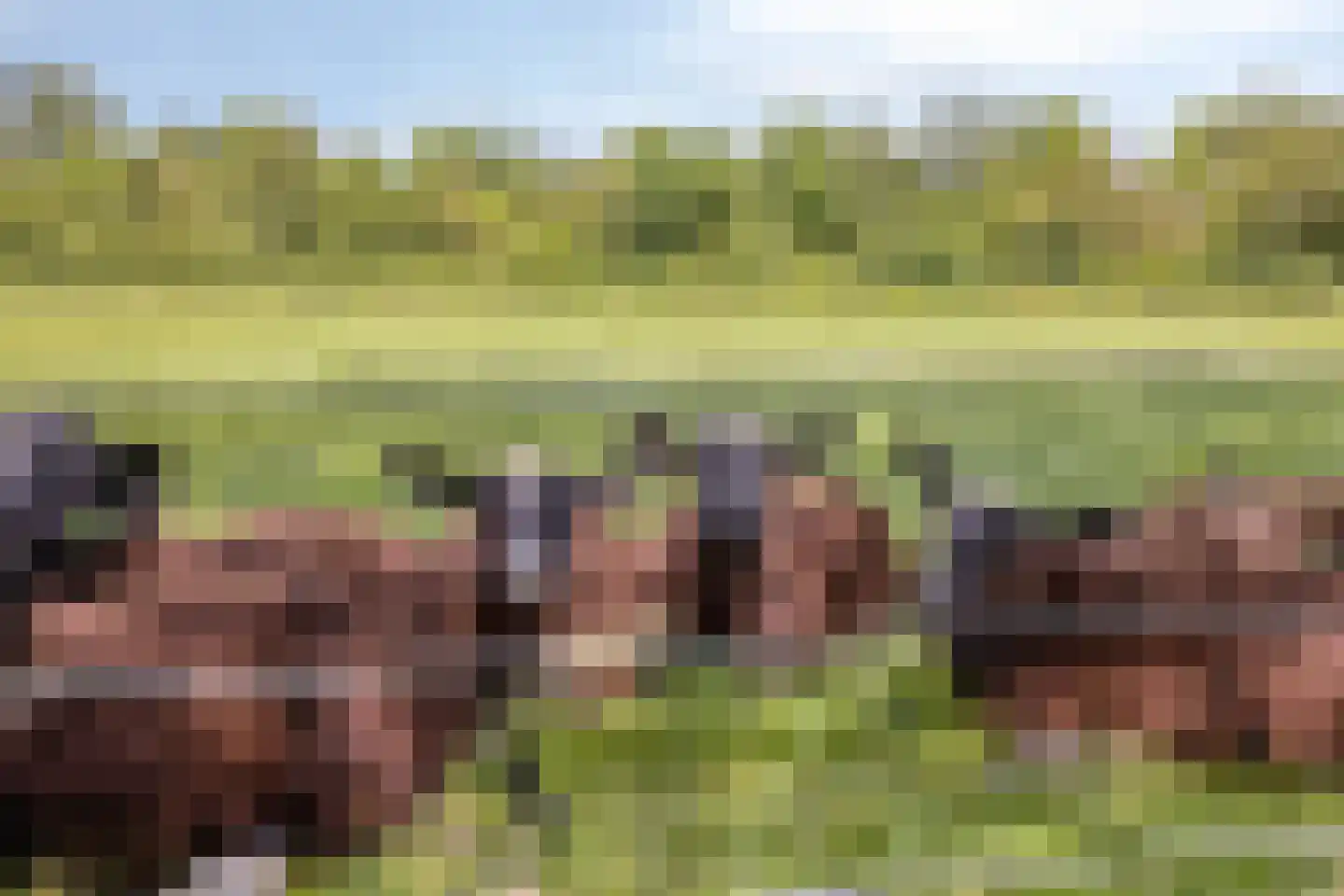 Binnenweg 9 Nijeholtpade thumbnail 46