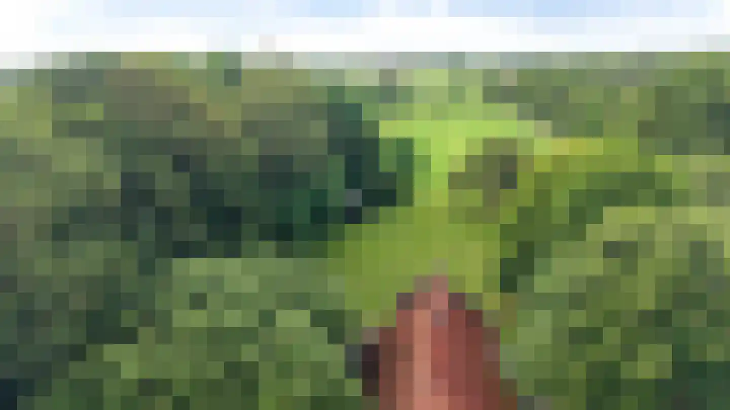 Binnenweg 9 Nijeholtpade thumbnail 47