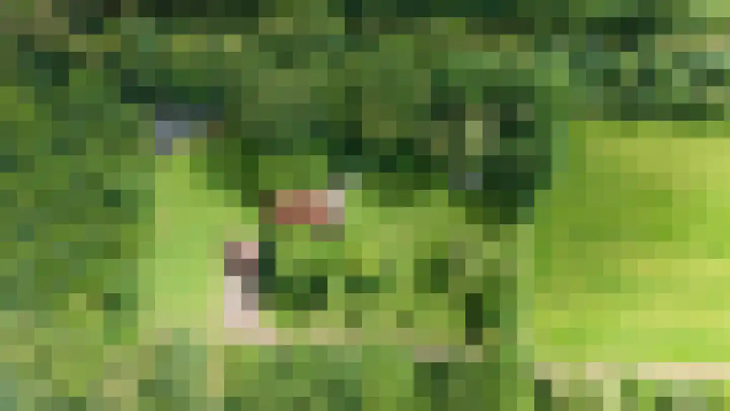 Binnenweg 9 Nijeholtpade thumbnail 5