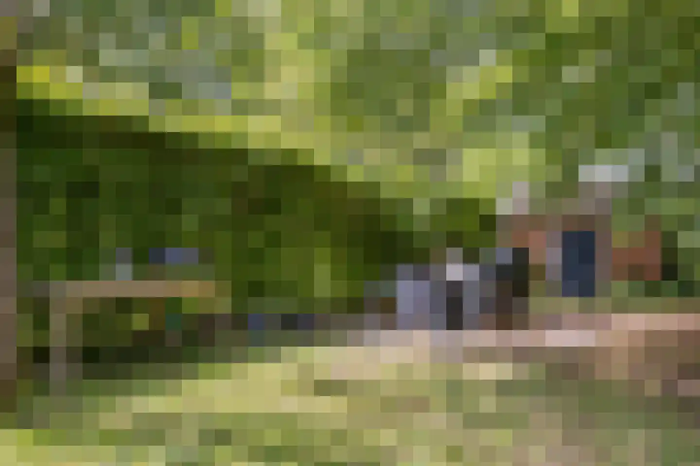Binnenweg 9 Nijeholtpade thumbnail 53