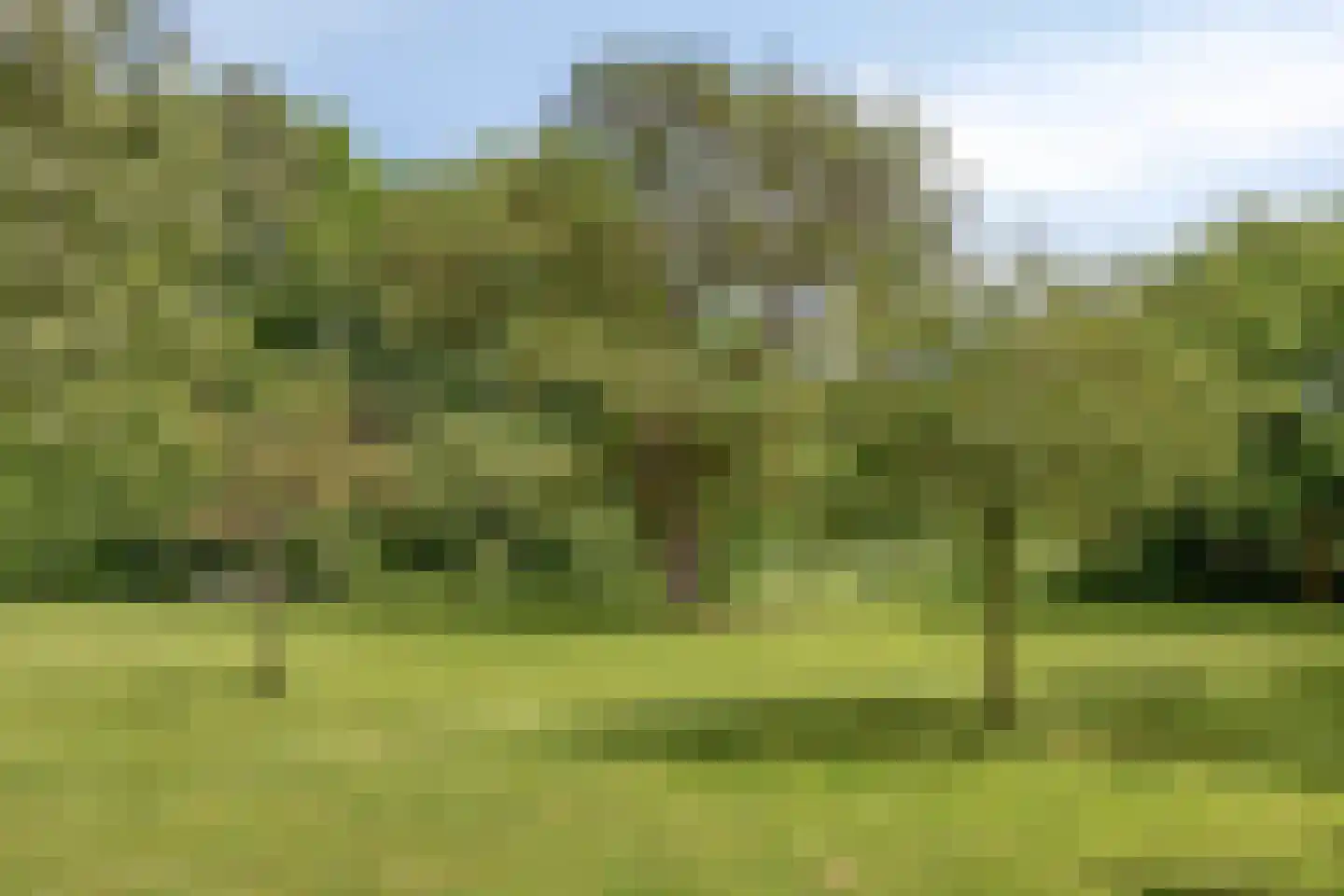 Binnenweg 9 Nijeholtpade thumbnail 54