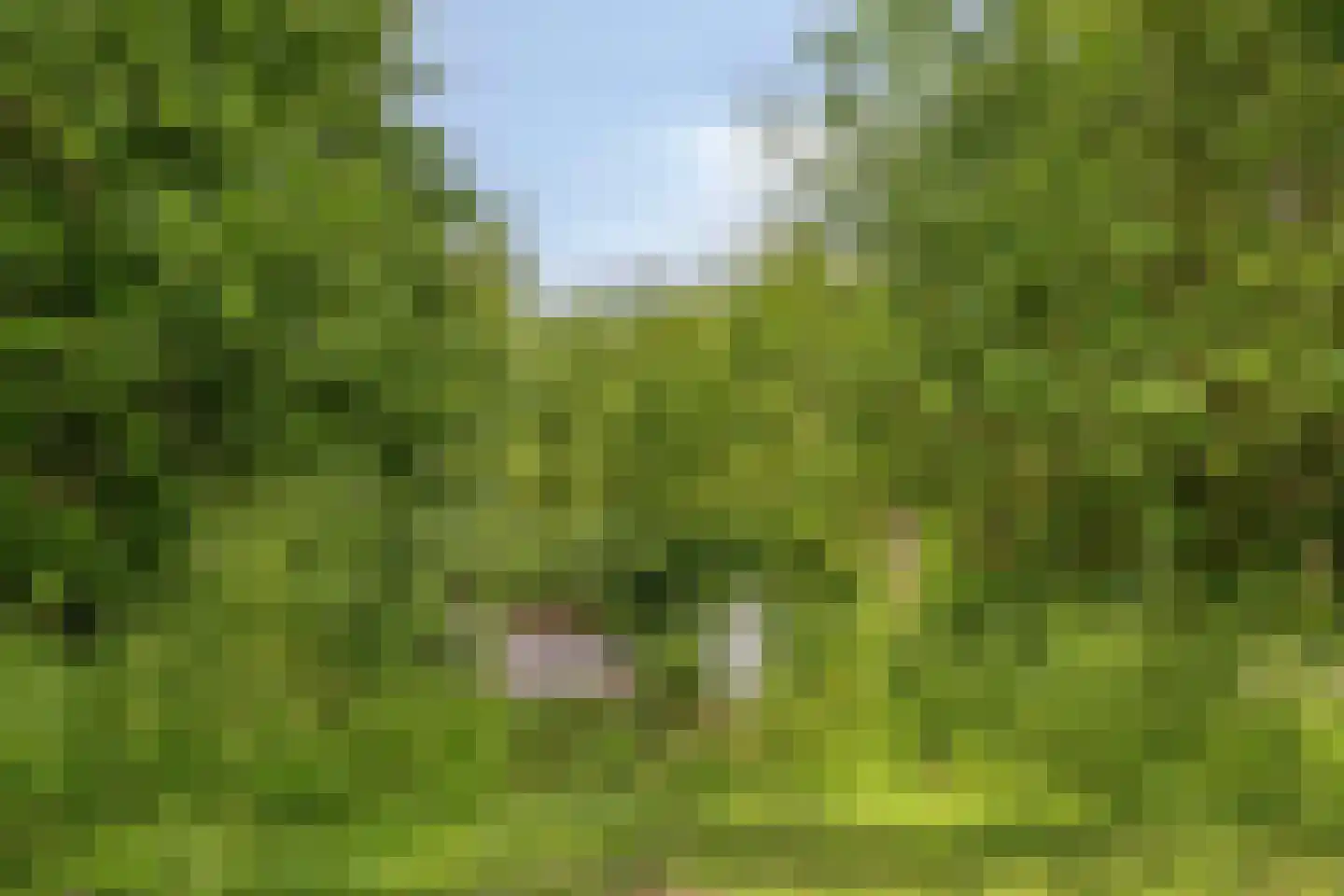 Binnenweg 9 Nijeholtpade thumbnail 55