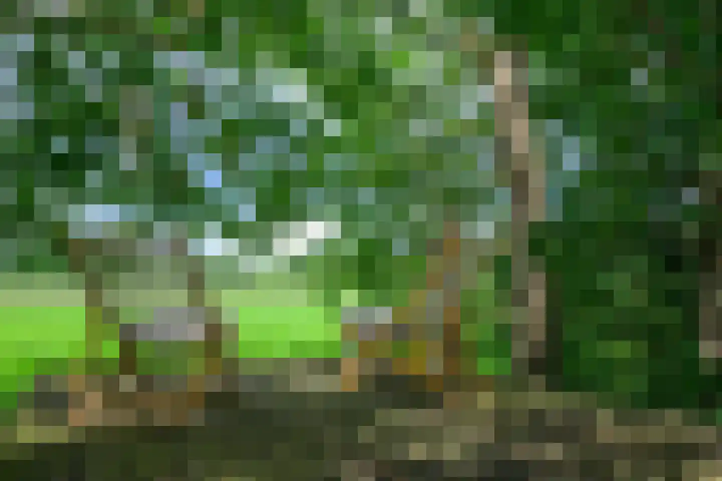 Binnenweg 9 Nijeholtpade thumbnail 57