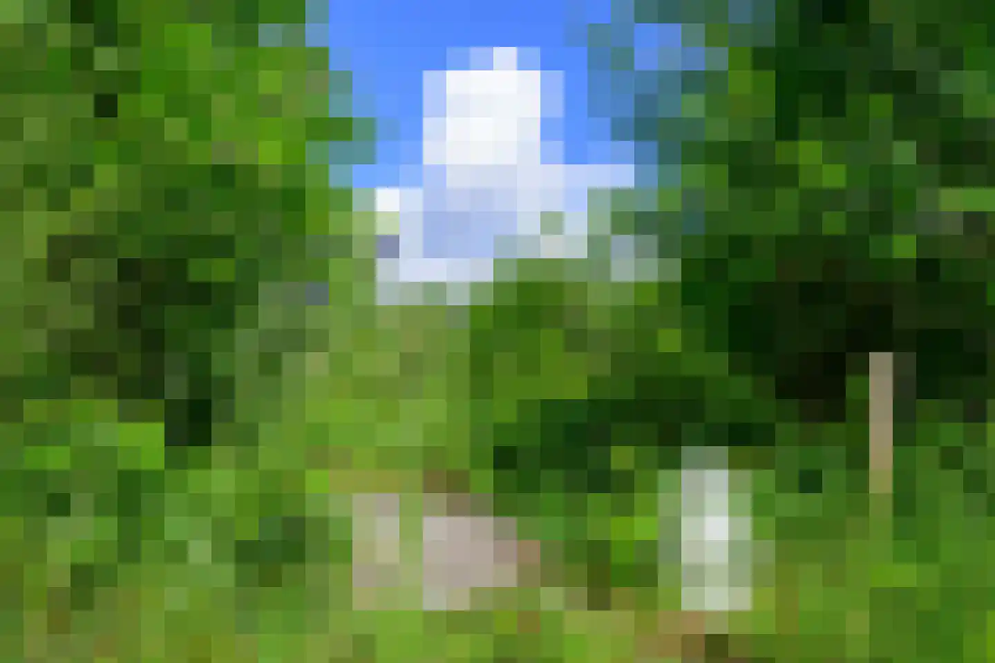 Binnenweg 9 Nijeholtpade thumbnail 58