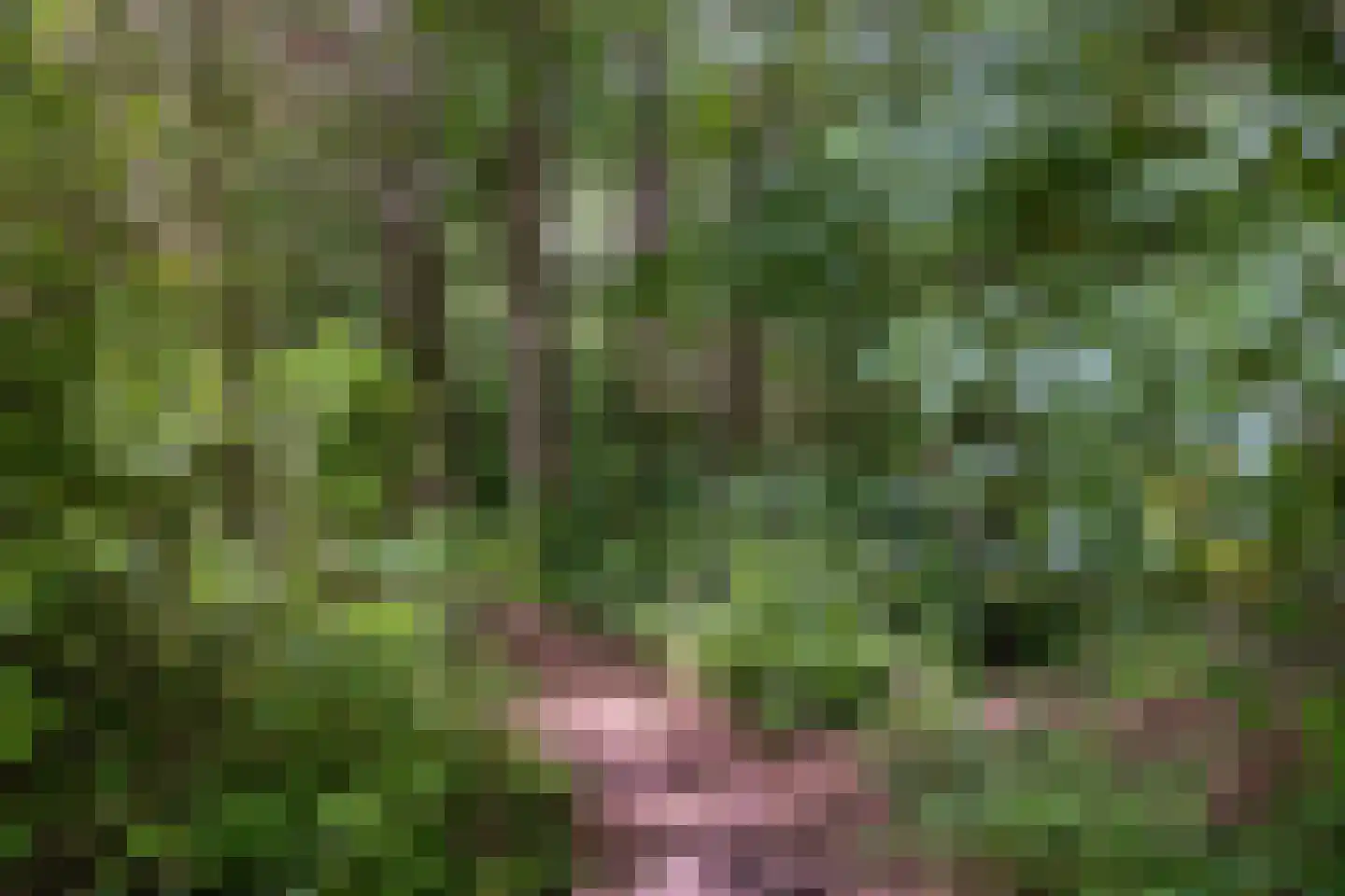 Binnenweg 9 Nijeholtpade thumbnail 59