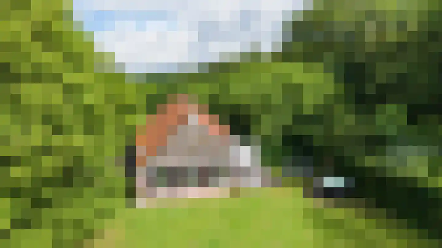 Binnenweg 9 Nijeholtpade thumbnail 6