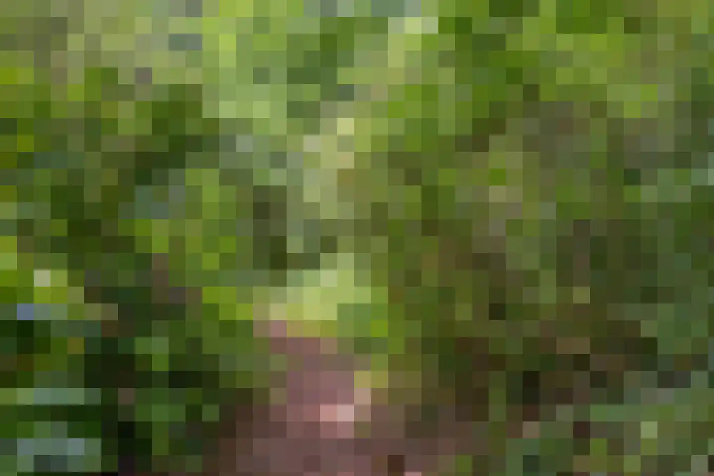 Binnenweg 9 Nijeholtpade thumbnail 60