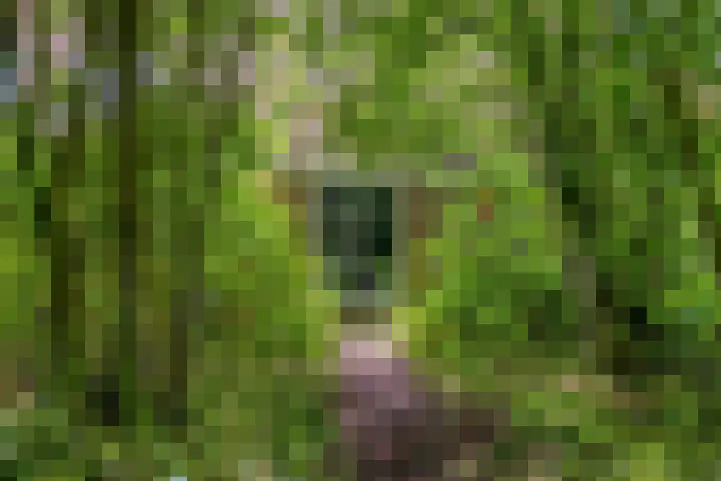 Binnenweg 9 Nijeholtpade thumbnail 61