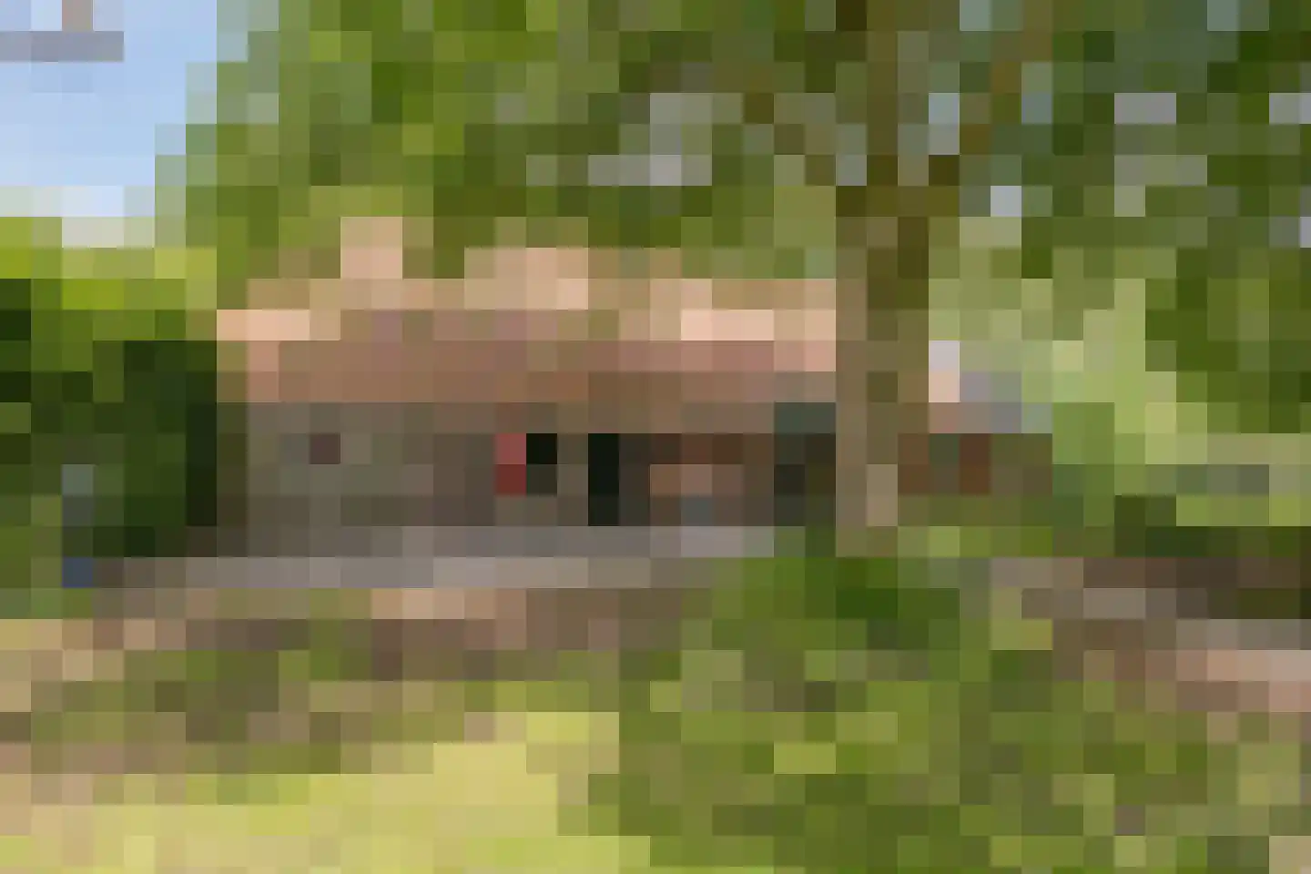Binnenweg 9 Nijeholtpade thumbnail 8