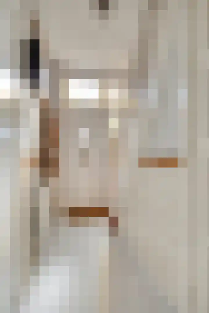 Binnenweg 9 Tiel thumbnail 10