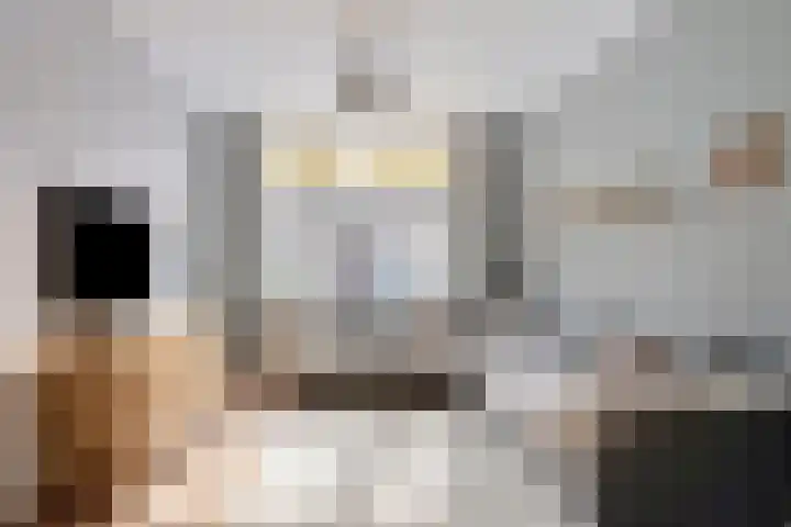 Binnenweg 9 Tiel thumbnail 14