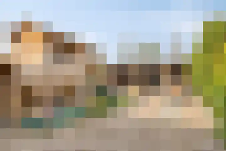 Binnenweg 9 Tiel thumbnail 4