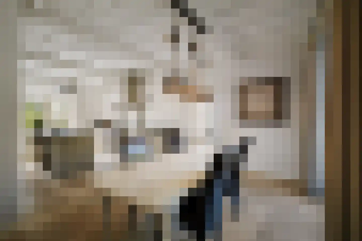 Binnenweg 9 Twello thumbnail 23
