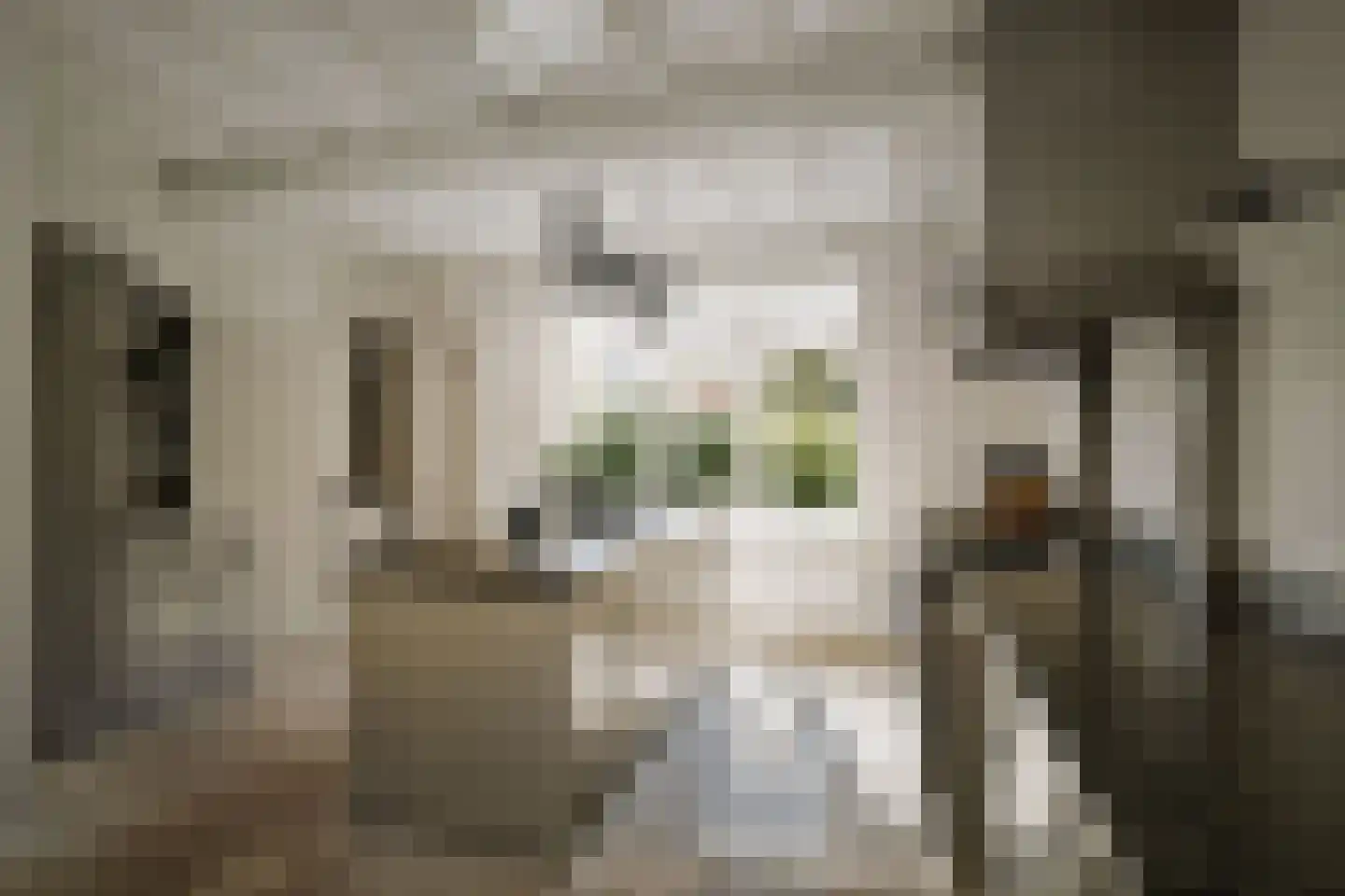 Binnenweg 9 Twello thumbnail 27