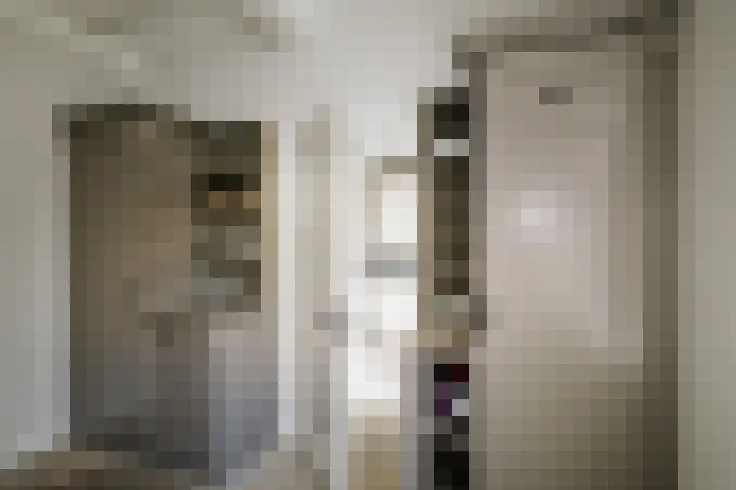 Binnenweg 9 Twello thumbnail 31