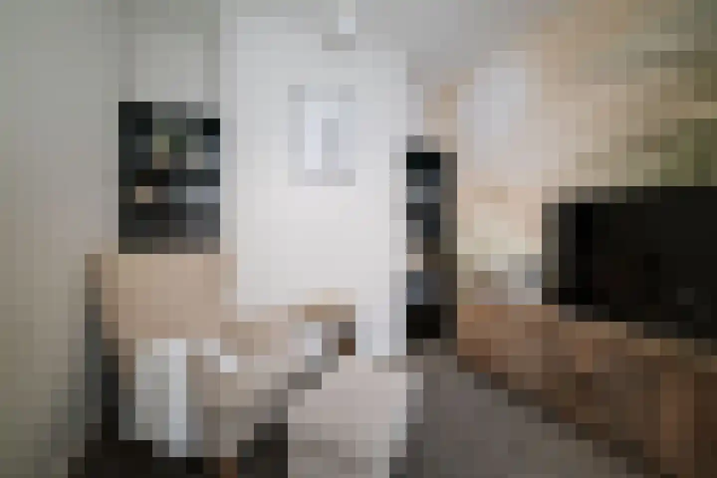 Binnenweg 9 Twello thumbnail 34