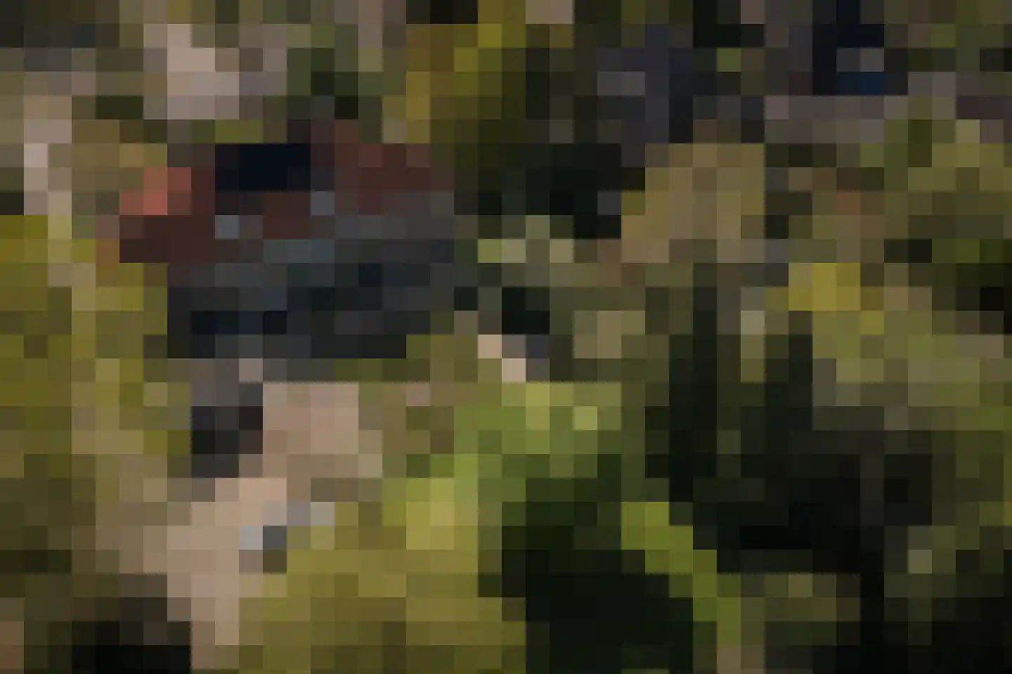 Binnenweg 9 Twello thumbnail 4