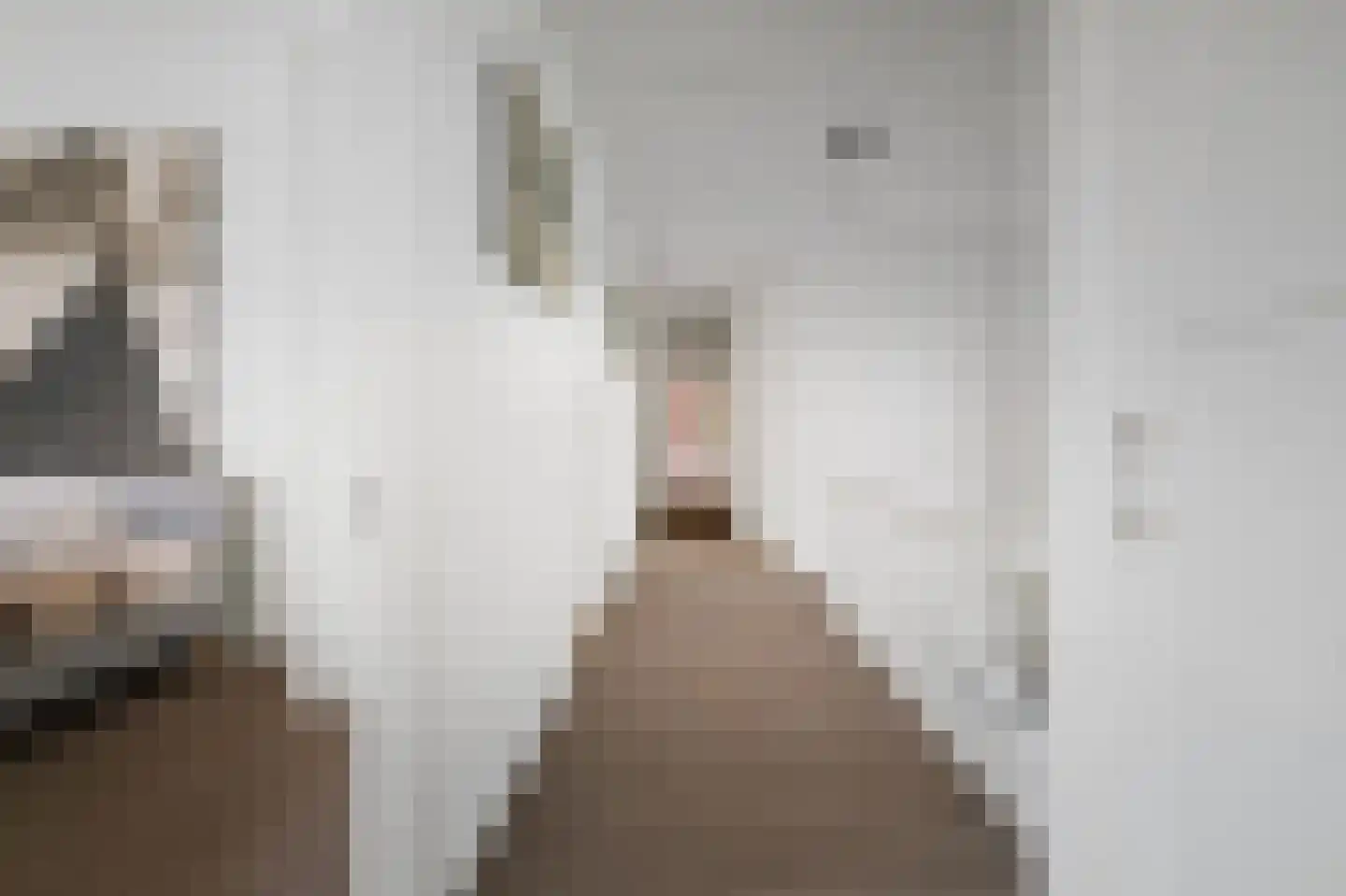 Binnenweg 9 Twello thumbnail 40
