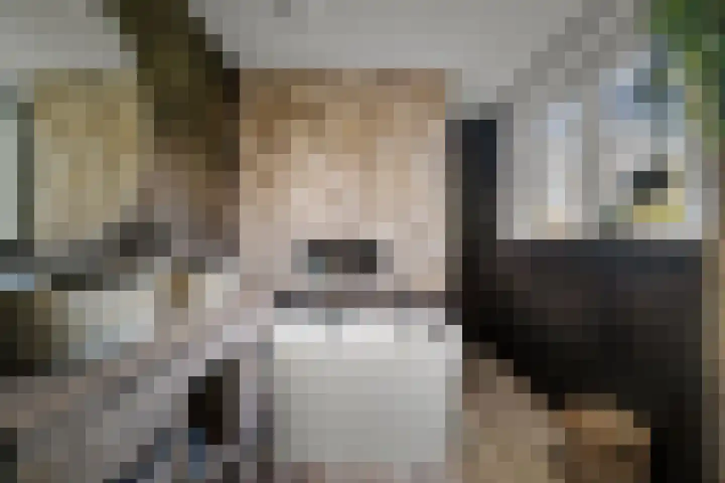 Binnenweg 9 Twello thumbnail 47