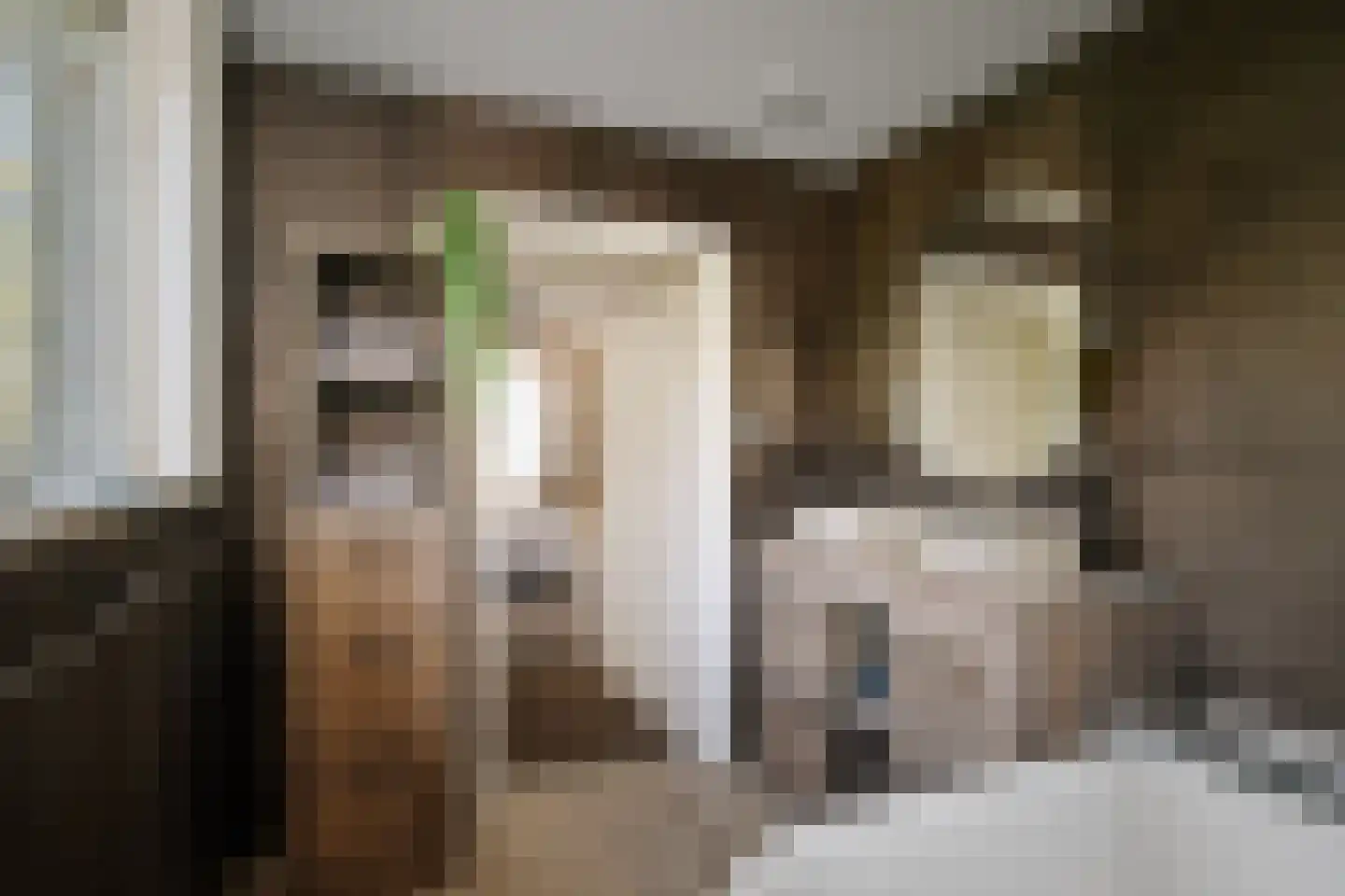 Binnenweg 9 Twello thumbnail 48