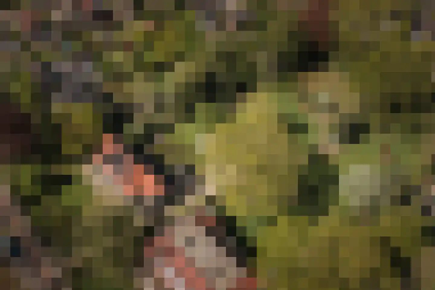 Binnenweg 9 Twello thumbnail 5