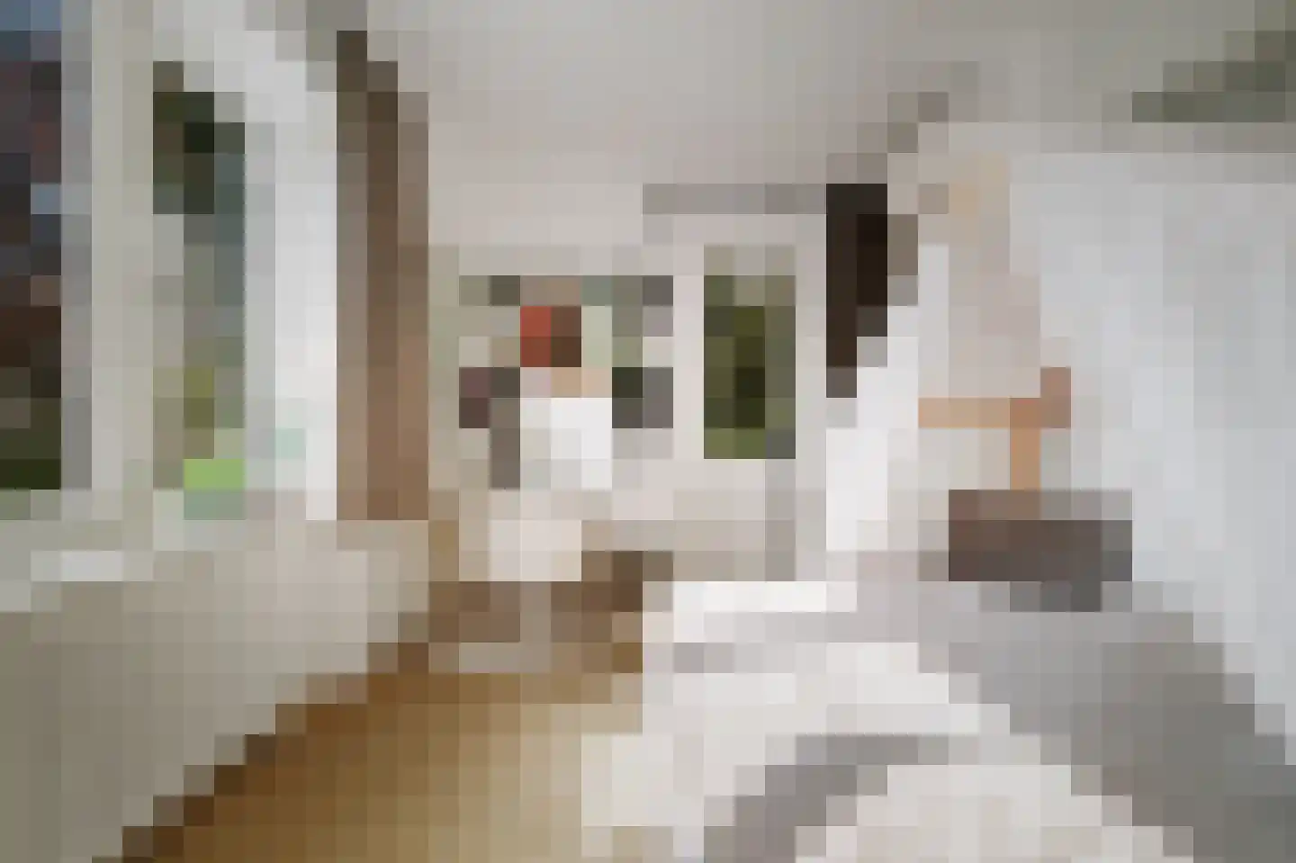 Binnenweg 9 Twello thumbnail 53