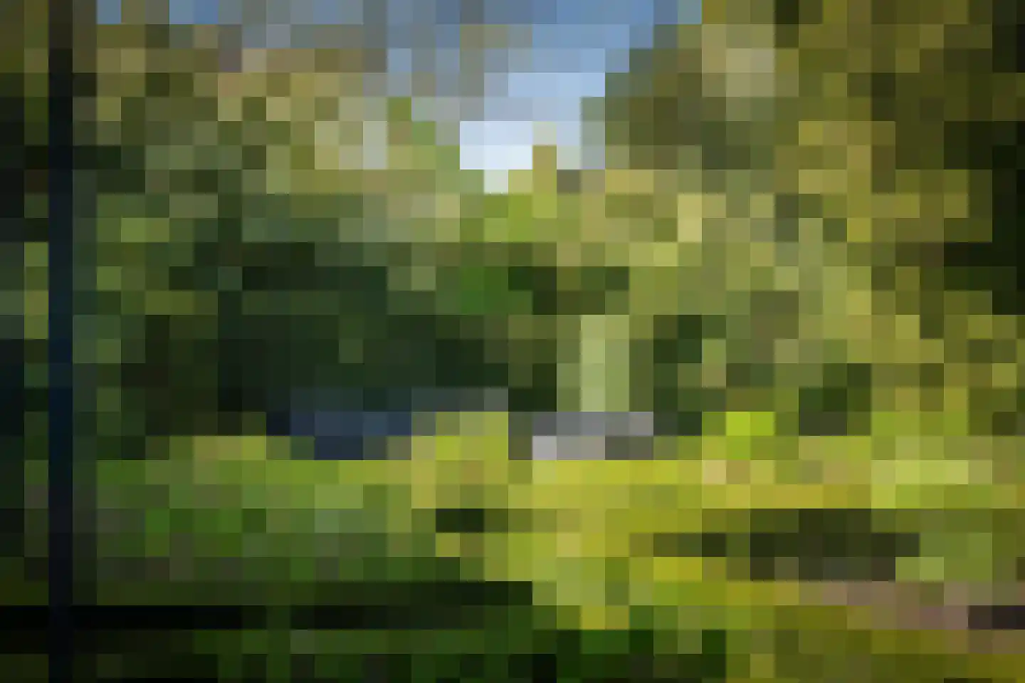 Binnenweg 9 Twello thumbnail 68