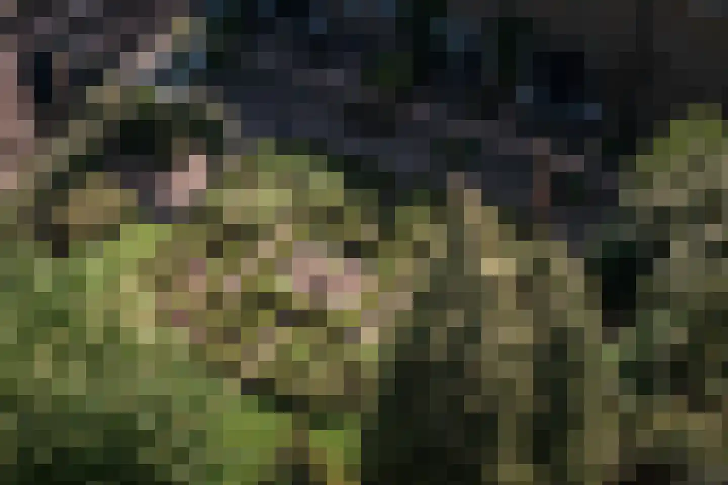 Binnenweg 9 Twello thumbnail 69