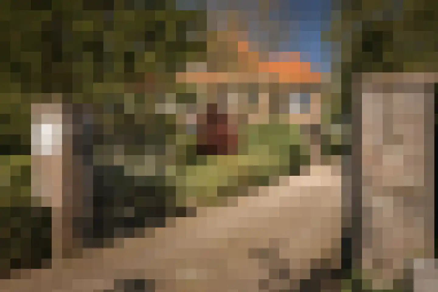 Binnenweg 9 Twello thumbnail 7