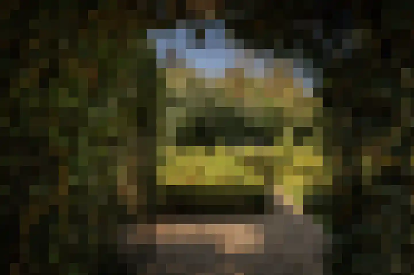 Binnenweg 9 Twello thumbnail 70