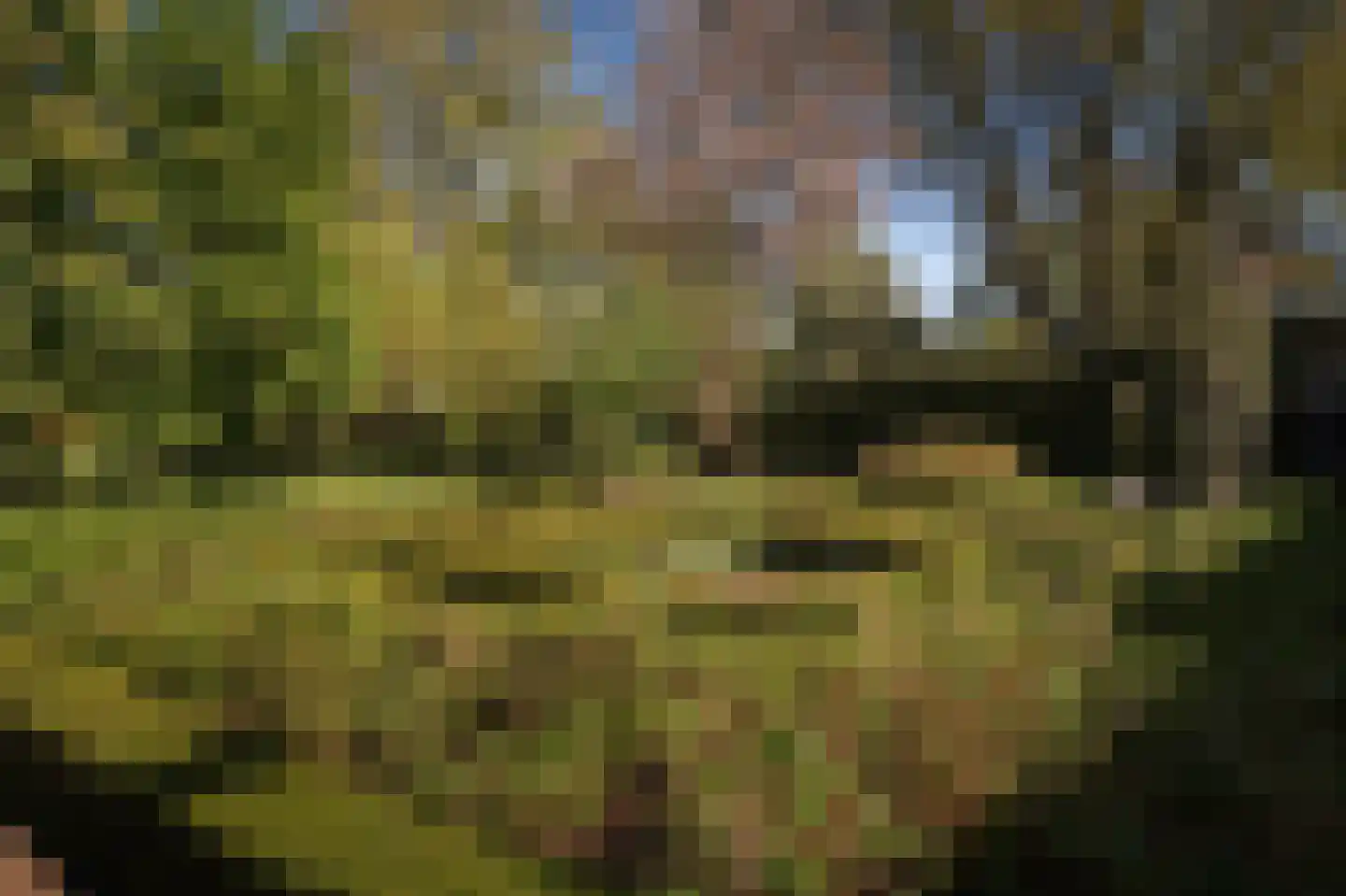 Binnenweg 9 Twello thumbnail 71