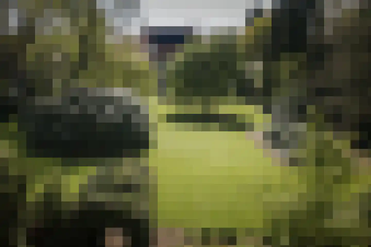 Binnenweg 9 Twello thumbnail 72