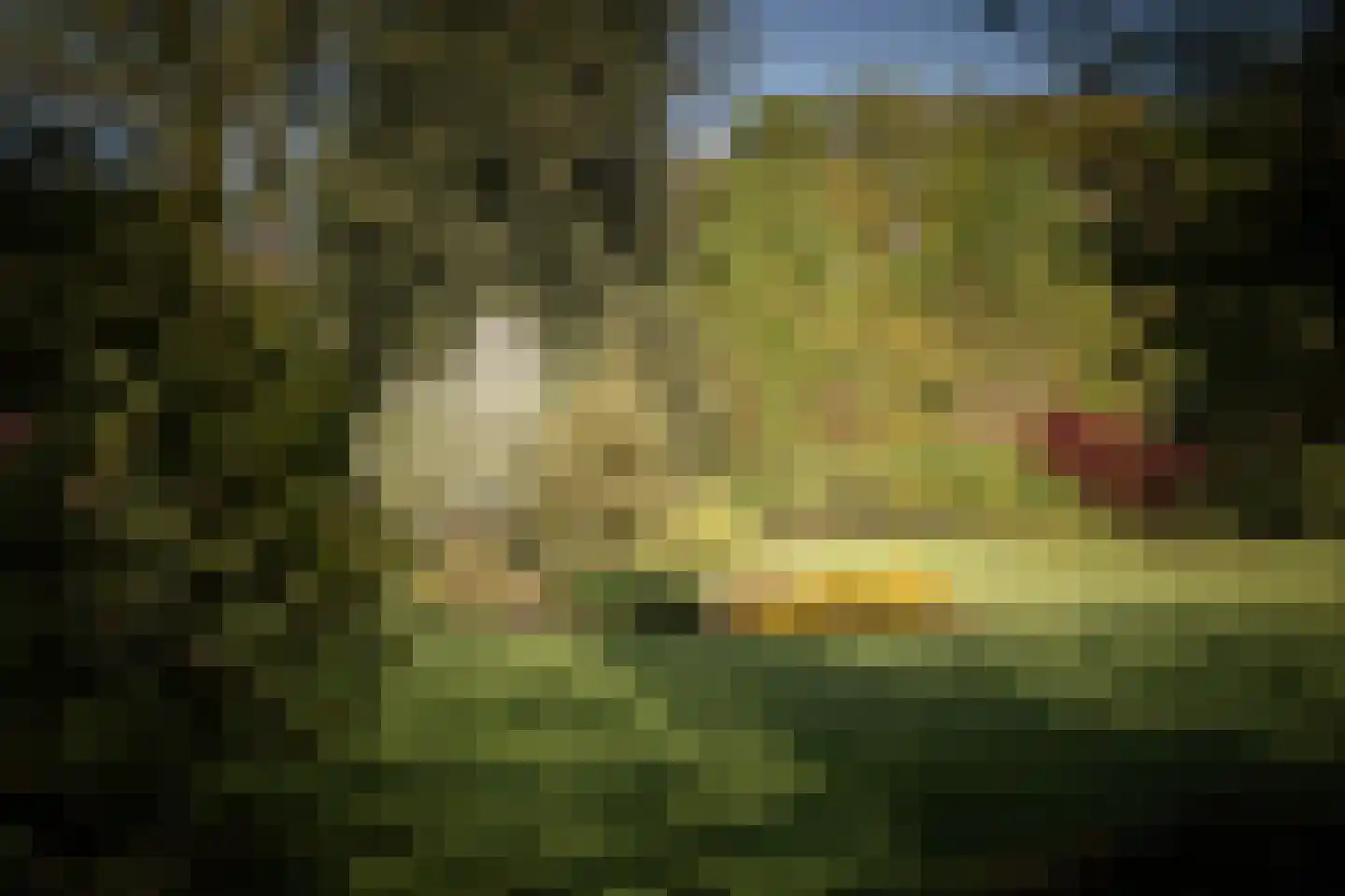 Binnenweg 9 Twello thumbnail 73