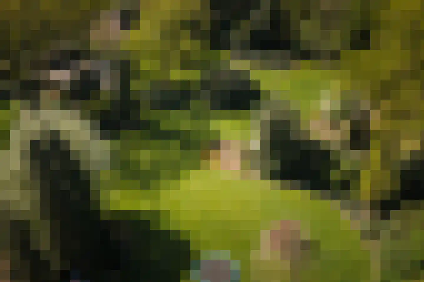 Binnenweg 9 Twello thumbnail 76