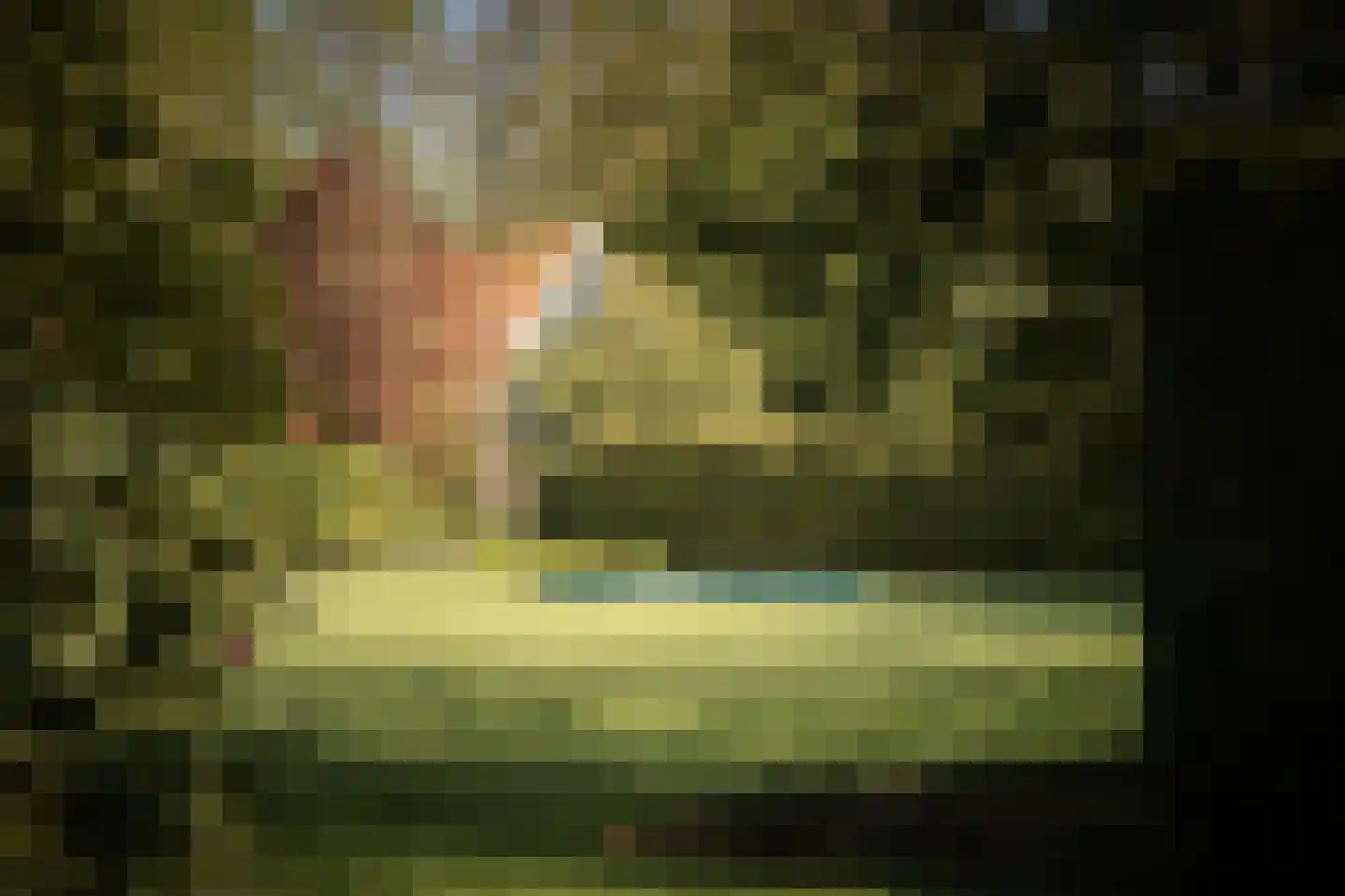 Binnenweg 9 Twello thumbnail 77