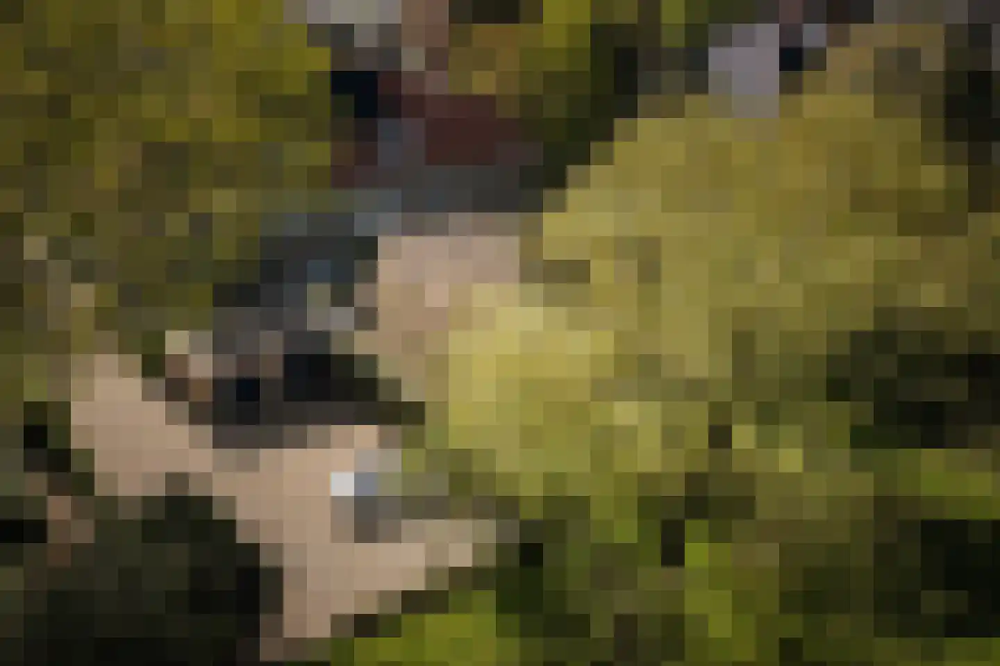 Binnenweg 9 Twello thumbnail 82