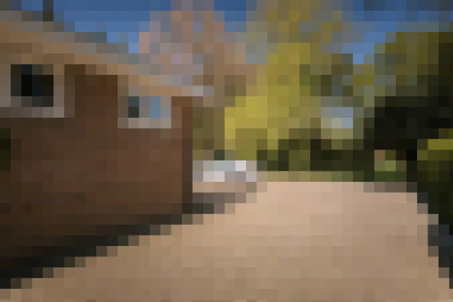 Binnenweg 9 Twello thumbnail 84