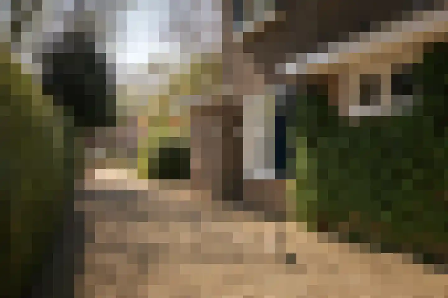 Binnenweg 9 Twello thumbnail 86