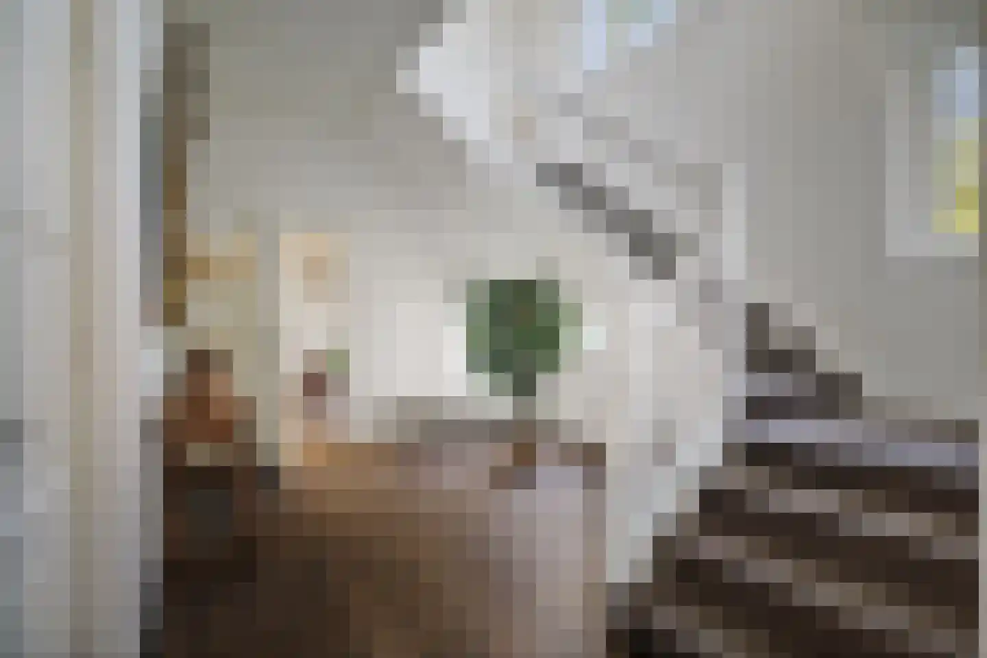 Binnenweg 9 Twello thumbnail 9