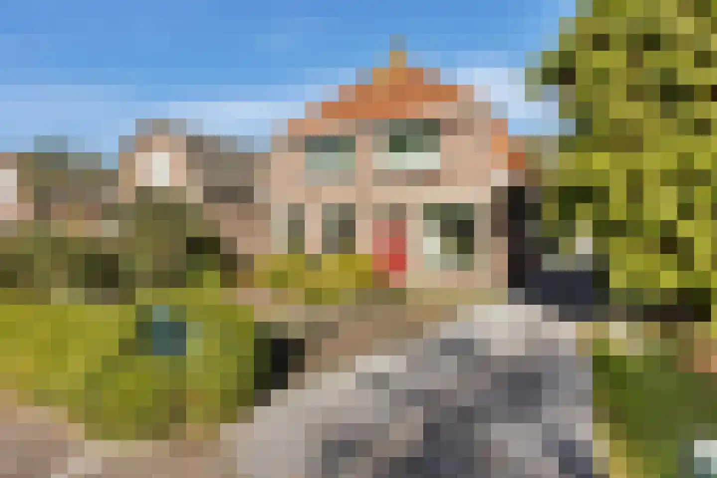 Binnenwei 107 Hemrik