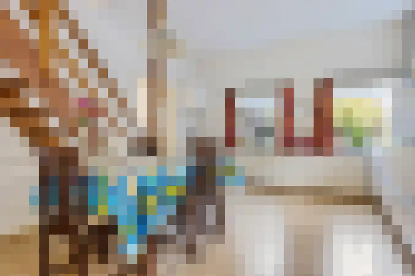 Binnenwei 107 Hemrik thumbnail 15