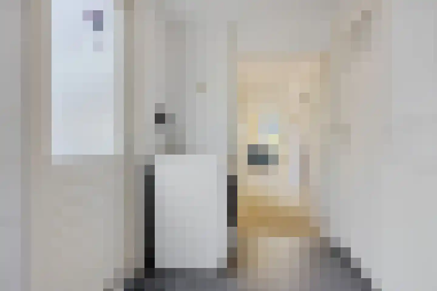 Binnenwei 107 Hemrik thumbnail 19