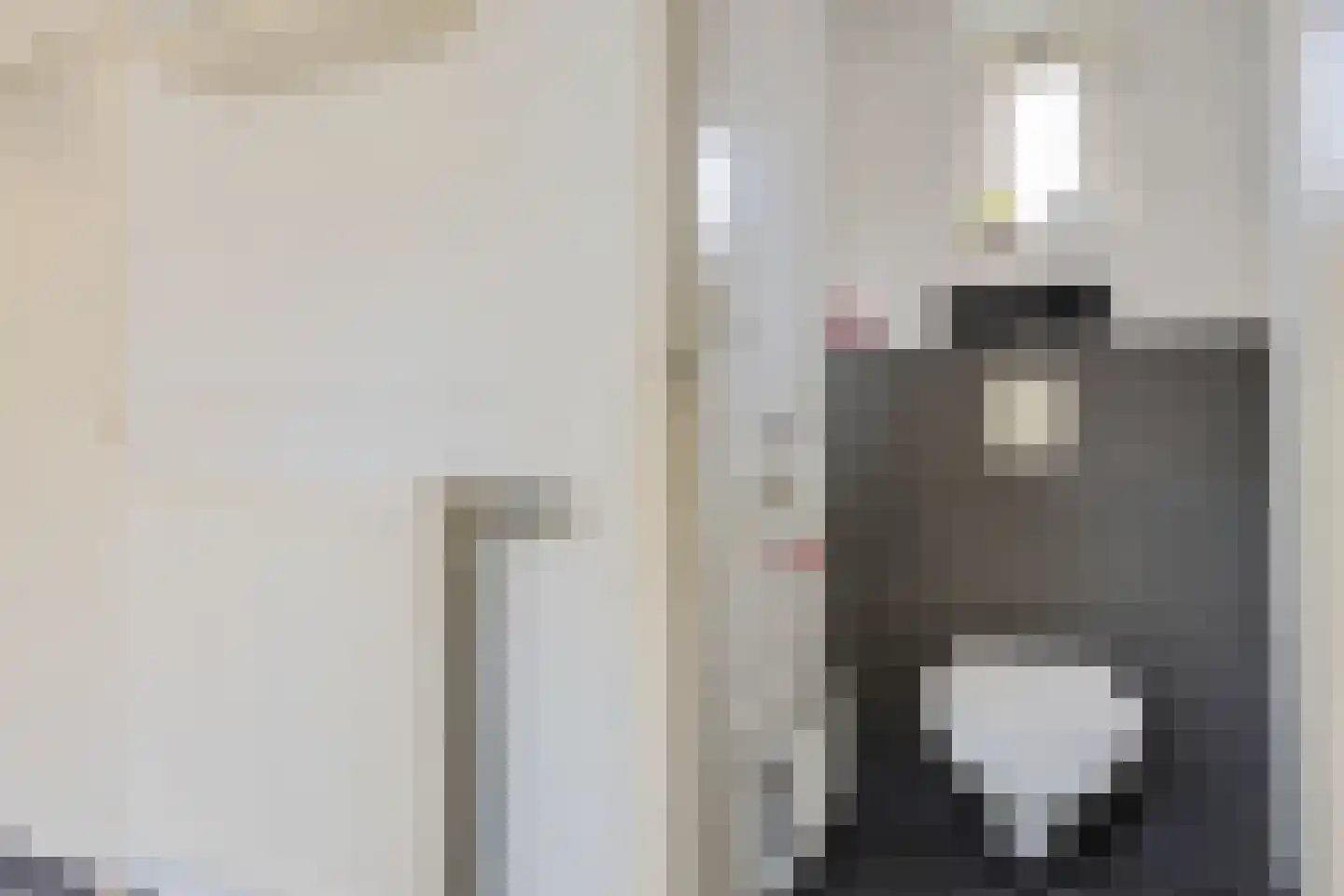 Binnenwei 107 Hemrik thumbnail 21
