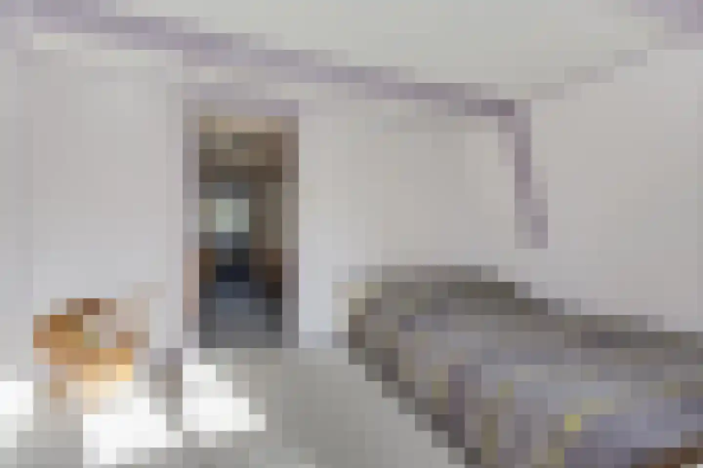 Binnenwei 107 Hemrik thumbnail 29