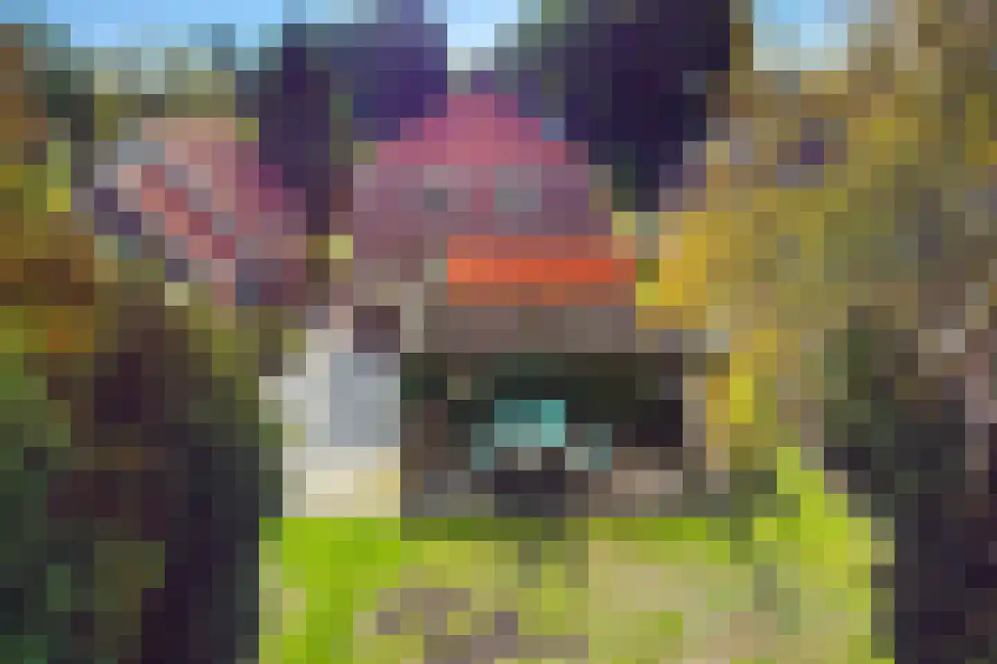 Binnenwei 107 Hemrik thumbnail 37