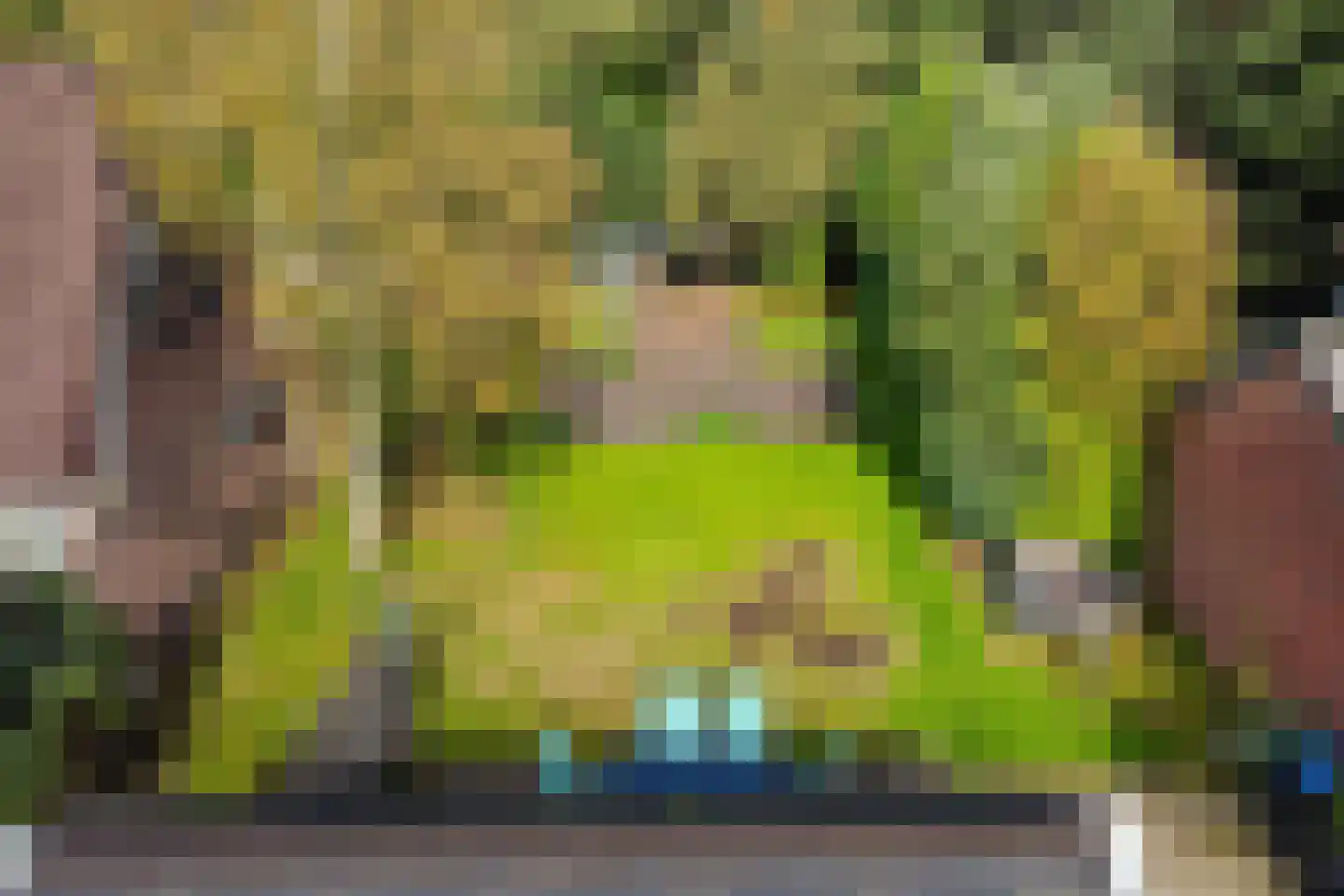 Binnenwei 107 Hemrik thumbnail 4