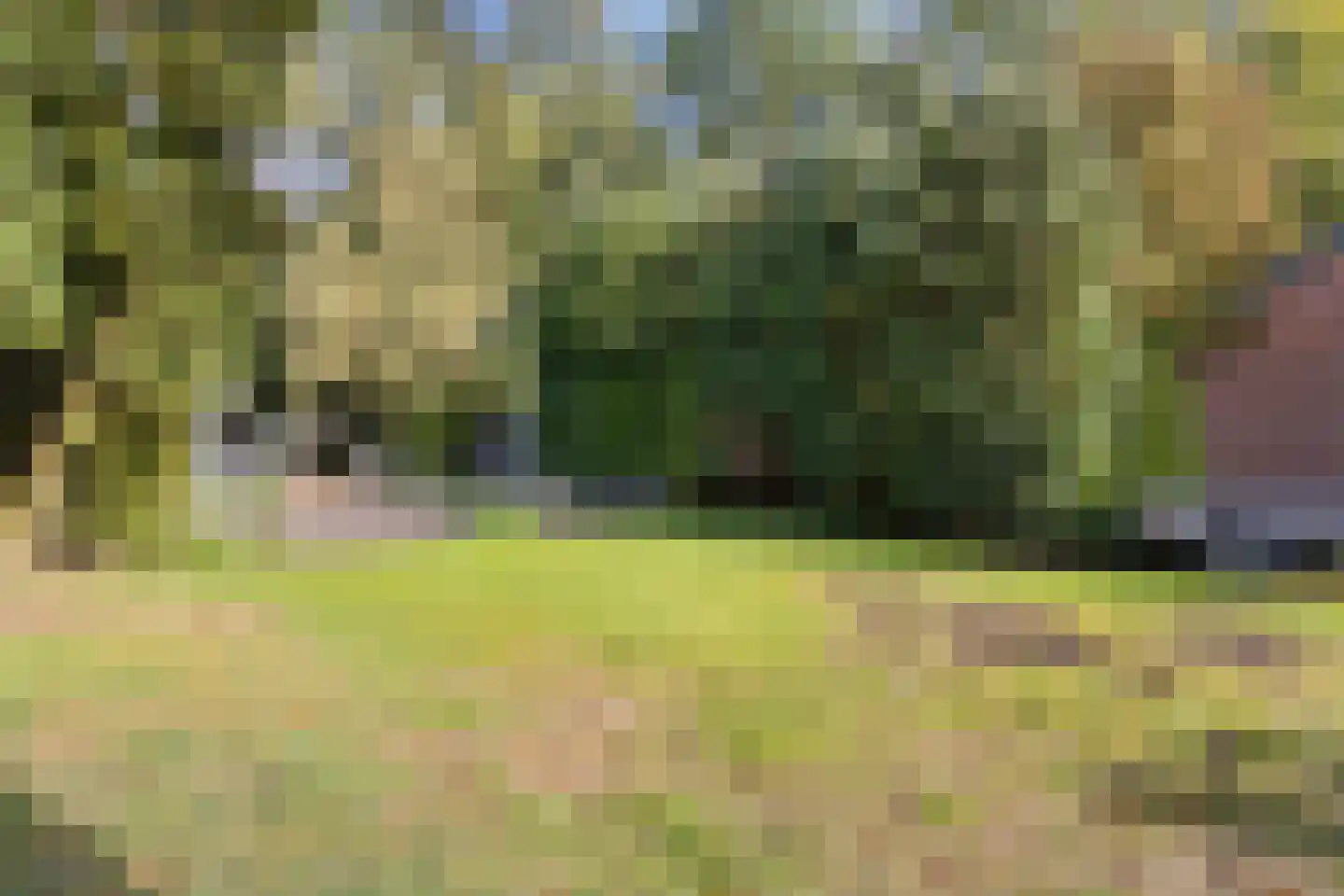 Binnenwei 107 Hemrik thumbnail 40