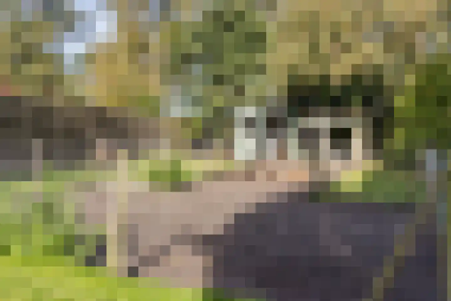 Binnenwei 107 Hemrik thumbnail 41