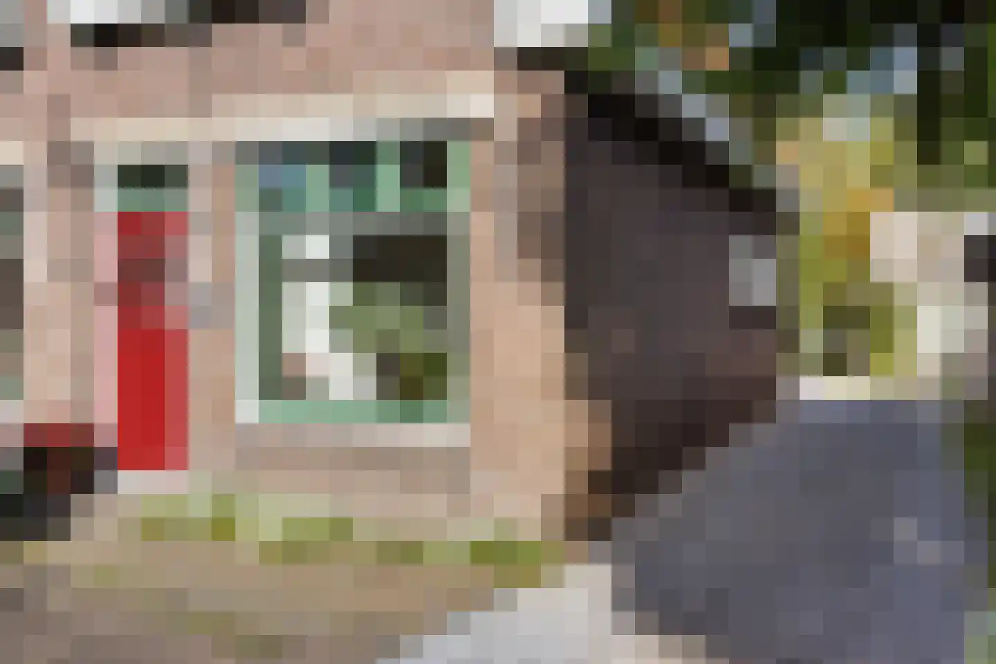 Binnenwei 107 Hemrik thumbnail 45